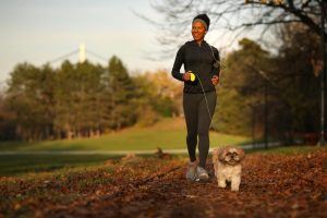 Exercise: solutions to dog barking