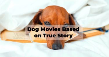 dog movies based on true story like resued by ruby