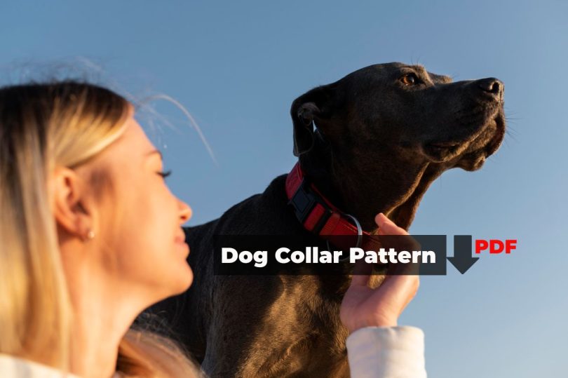 Free Dog Collar Pattern PDF Download
