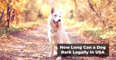 How long can a dog bark legally in the USA