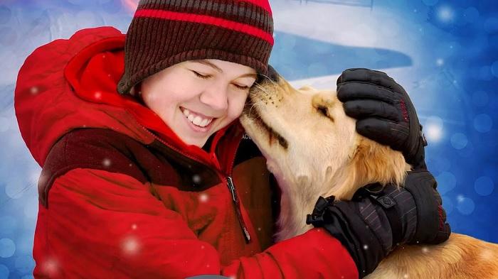 Christmas Dog Movies: Top 10 Films to Watch This Holiday