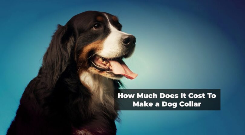 How Much Does It Cost To Make a Dog Collar