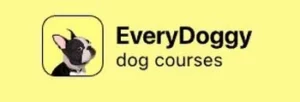 everyday-doggie