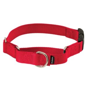 Types of Dog Training Collars (Pictures)