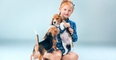 What are The Best Kid Friendly Small Dog Breeds For Families